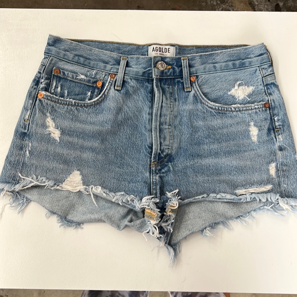 Parker Vintage Cut Off Shorts -AGOLDE